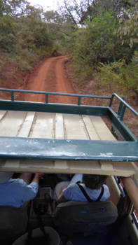 Nairobi - On the road