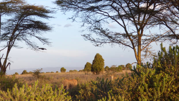 Nairobi - Om elke hoek een ander landschap