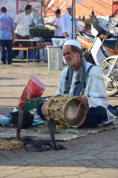 Marrakesh - Slangen bezweerder