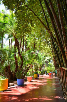 Marrakesh - De tuinen van Jardin Marjorelle