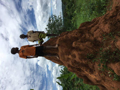 Oeganda - Pearl of africa