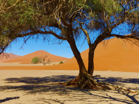 Namibië - Sossusvlei <3