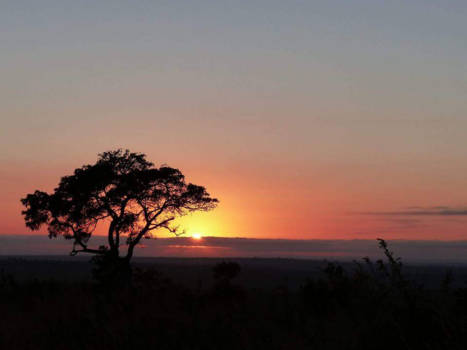 Krugerpark - African sunset