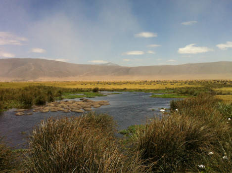 Ngorongoro krater - Honderden dieren in 1 beeld; check ook de nijlpaarden in het water! Een van de mooiste plekjes die ik gezien heb in Tanzania!