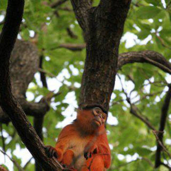 Banjul - met theo in gambia