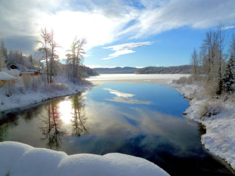 Masai Mara - MCLeodlake British Columbia Canada