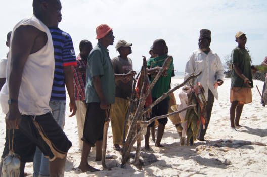 Stranden van Zanzibar - Verse vis  Verkoping op het strand