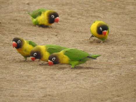 Tarangire National Park