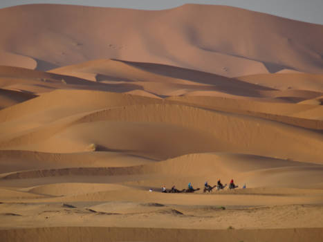 Merzouga - En route...
