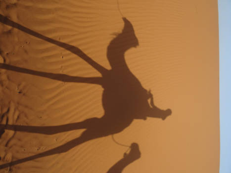 Merzouga - Shadow