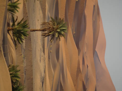 Merzouga - So lonely