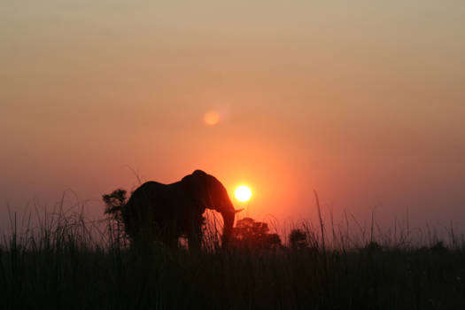 Namibië - Zonsondergang