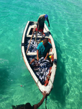 Kaapverdië - There are plenty more fish in the sea!