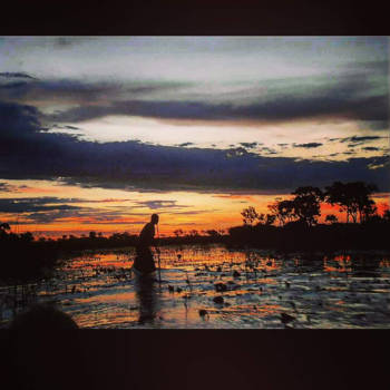Okavango Delta - Okavango delta