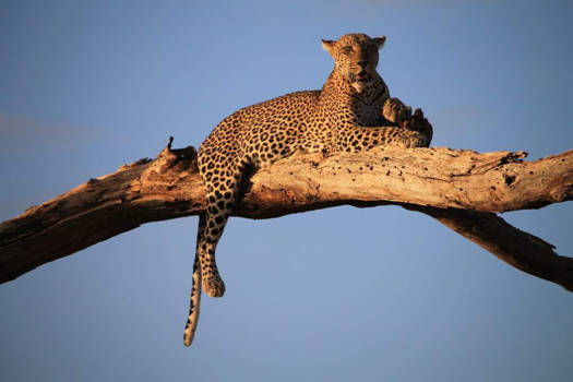 Kenia - Indrukwekkend!!