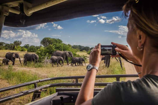 Oeganda - Wild in overvloed Queen Elizabeth NP