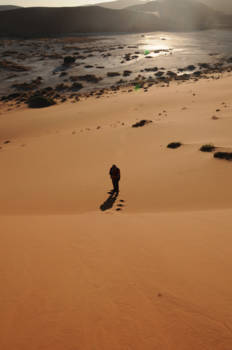Namibië - Deathvlei