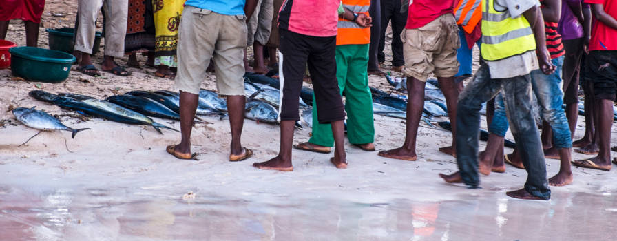 Stranden van Zanzibar