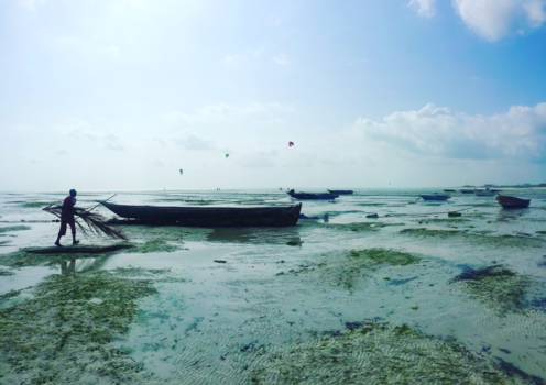 Stranden van Zanzibar - early morning at Paje beach