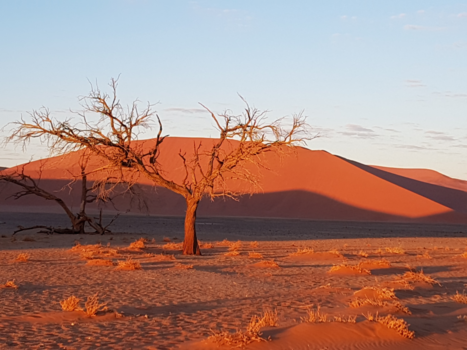 Victoria Falls of Mosi-oa-Tunya - Sossusvlei Namibië