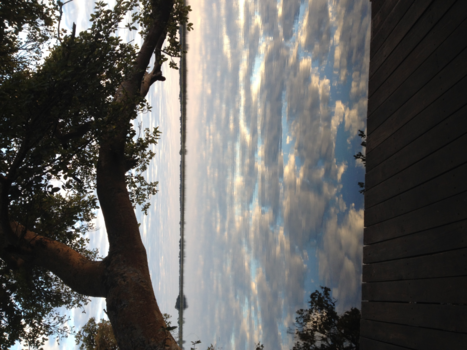 Botswana - Doorkijk in de Okavangavlakte