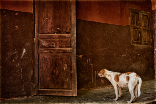 Madagaskar - Go Away