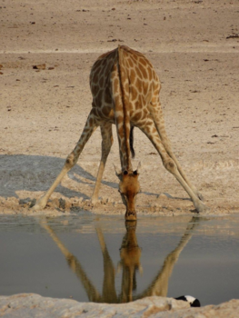 Namibië - Eindelijk is de kust veilig