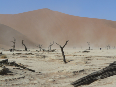 Namibië - Deadvlei... de naam zegt genoeg