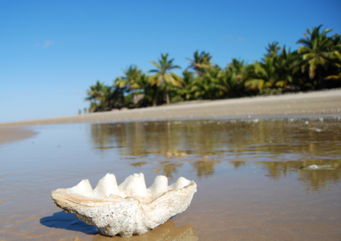 Mozambique