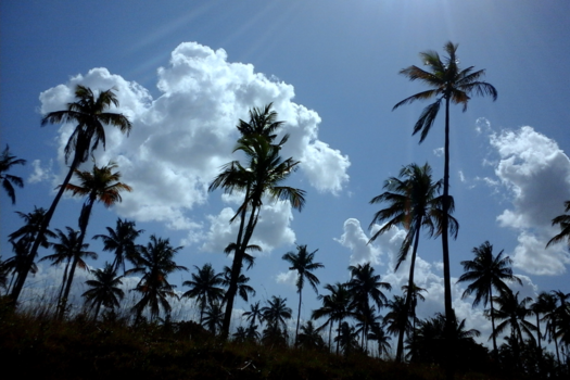 Mozambique