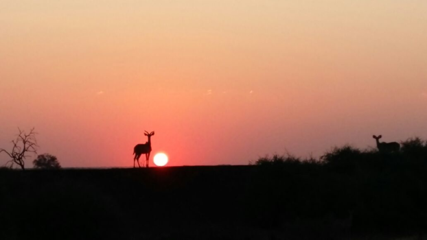 Botswana - Sundowners
