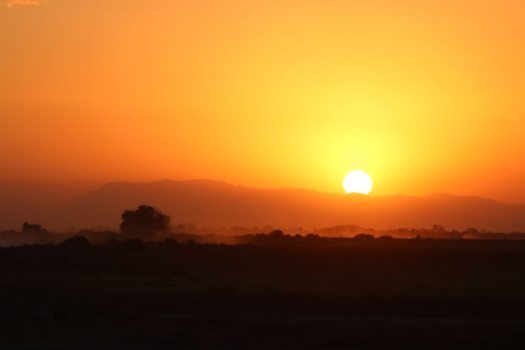 Amboseli National Park - Kenia