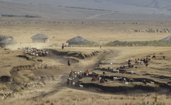Tanzania - Maasai Village