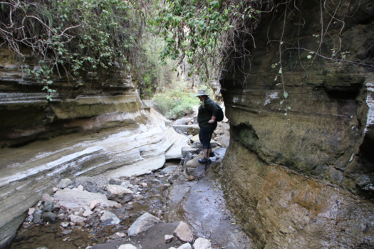 Kenia - Canyon hike, Hells gate National park