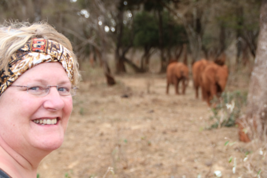 Kenia - Visit orphanages baby elephants David Sheldrick wildlife Trust