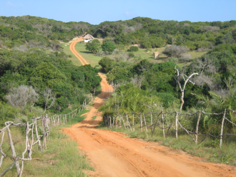 Mozambique - Road to ........nowhere