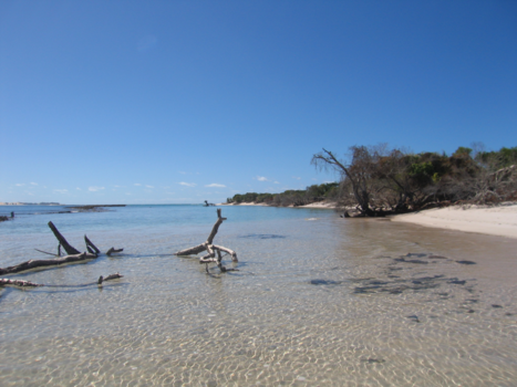 Mozambique - tomorrow land