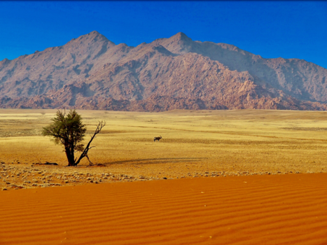 Namibië - Sossusvlei