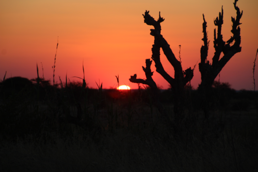 Etosha National Park - Omuthiyagwiipundi