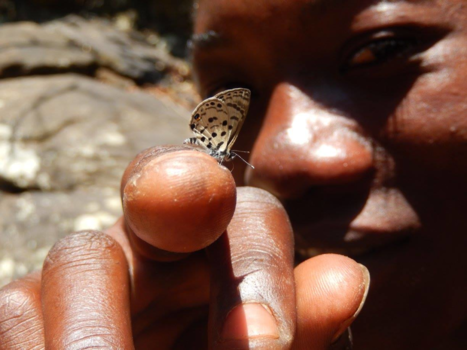 Tanzania - Butterfly