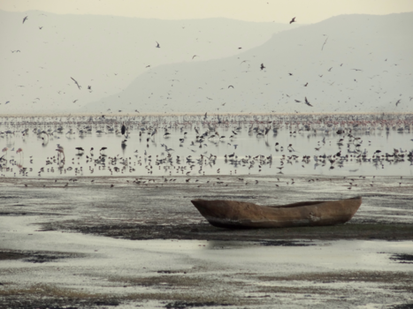 Tanzania - Lake Manyara
