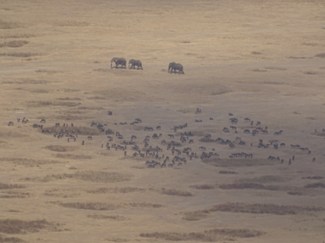 Tanzania - Op de rand van de Ngorongoro krater (Tanzania)