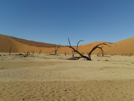 Namibië - Namibie