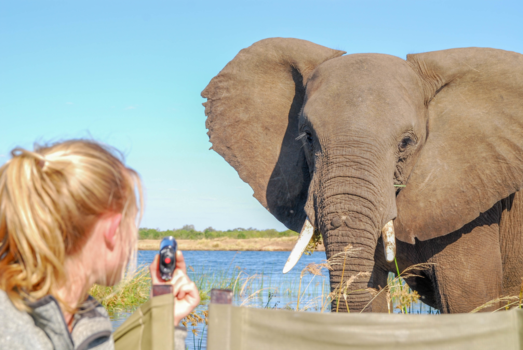 Lower Zambezi National Park - Who's watching who?