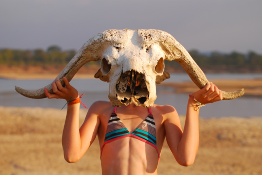 South Luangwa National Park - Hi there!