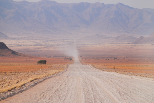 Namib-Naukluft National Park - Someone's coming.....