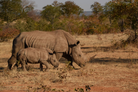 Serengeti National Park