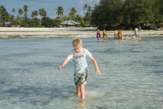 Stranden van Zanzibar - Zeebenen