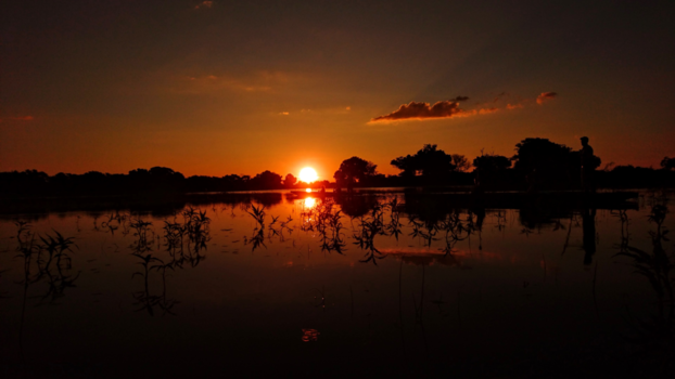 Botswana - Serenity