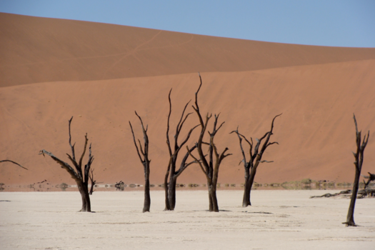 Namib-woestijn - Death